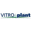 Vitroplant Italia