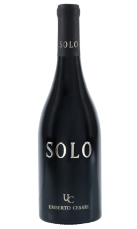  "Solo" un vino 100% Merlese prodotto da Umberto Cesari