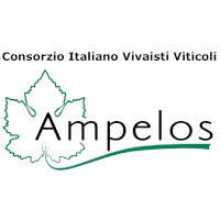 Consorzio Italiano Vivaisti Viticoli Ampelos