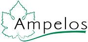 AMPELOS Italia - Consorzio Italiano Vivaisti Viticoli (Tebano, Faenza)